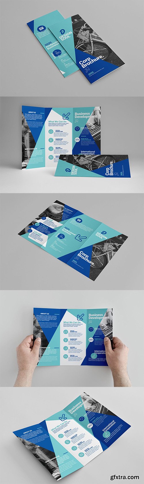 Trifold Brochure