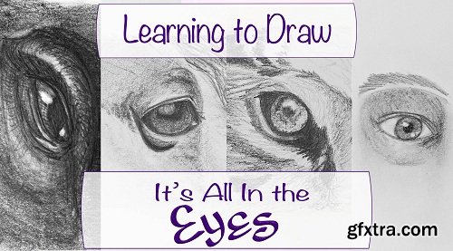 Learning to Draw: It\'s All In the Eyes