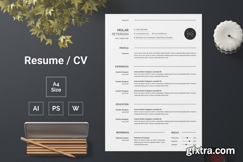 Resume Template Bundle