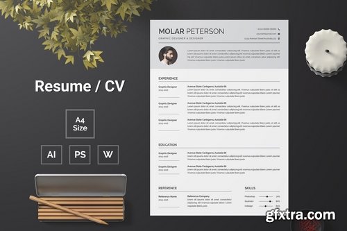 Resume Template Bundle
