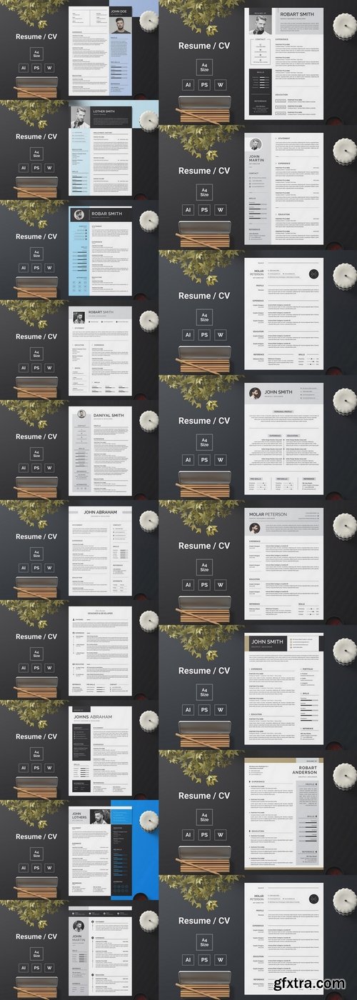 Resume Template Bundle