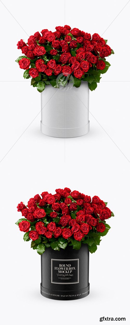Round Flower Box Mockup 24041 Round Flower Box Mockup 24041