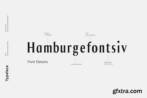 Tonic Font Family Tonic Font Family