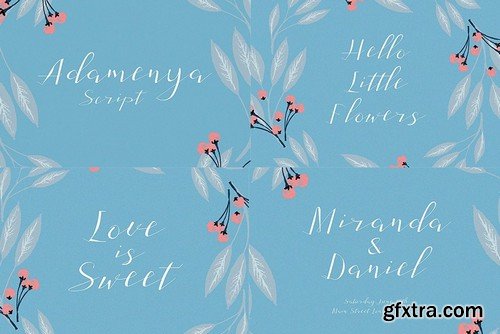 CM - Handwritten Fonts Collection 2042996