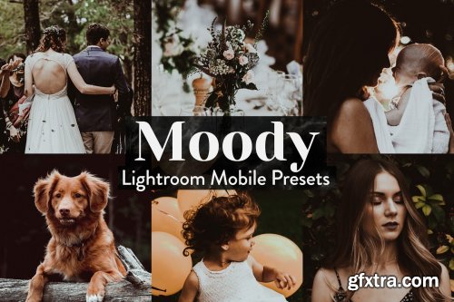 CreativeMarket - Moody Lightroom Presets Mobile 4015357