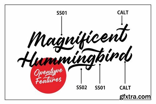 CM - Regan Script 4085000 CM - Regan Script 4085000