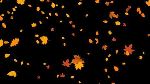 Udemy - Autumn Falling