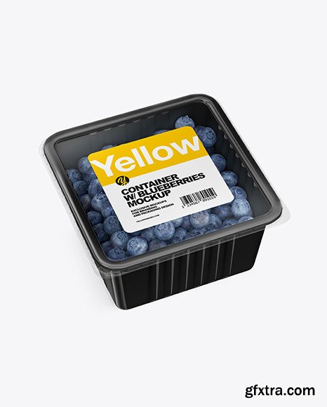 Container w/ Blueberry Mockup 49795