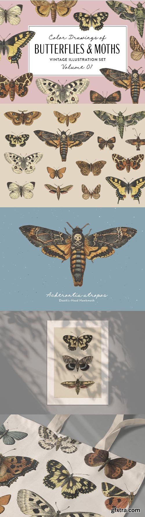 Butterflies & Moths Vintage Graphics Vol. 1 Butterflies & Moths Vintage Graphics Vol. 1
