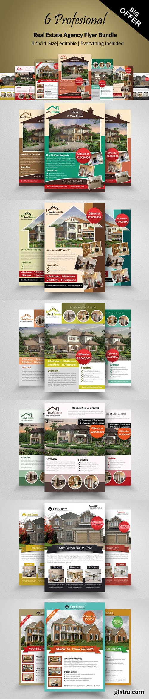 CM - 6 Professional Real Estate Agency Flyer Bundle