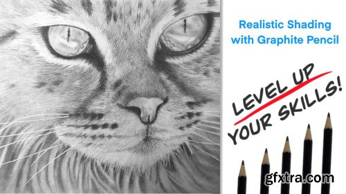 Graphite Pencil Shading - Creating a Realistic Cat
