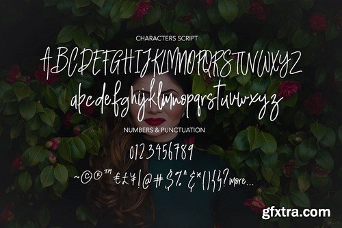 Arista - Chic Script Font