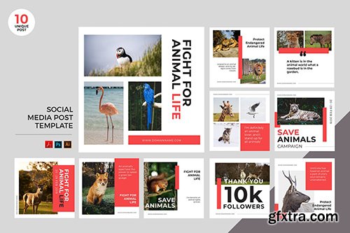 Animal Protection Social Media Kit PSD & AI Animal Protection Social Media Kit PSD & AI