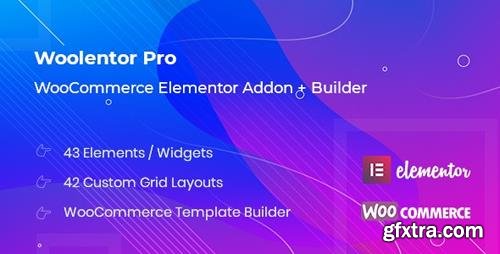 CodeCanyon - WooLentor Pro v1.2.3 - WooCommerce Page Builder Elementor Addon - 23896302