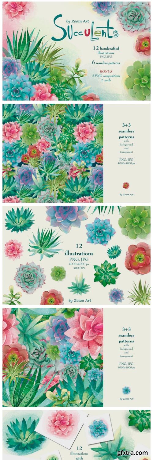 Succulents Illustrations and Patterns 1956501 Succulents Illustrations and Patterns 1956501