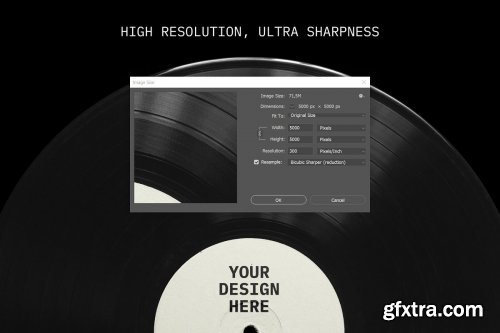 CreativeMarket - Vinyl Record Mockup 4250259