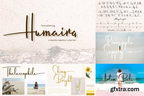 CreativeMarket - ALL OUT COLLECTION BUNDLE 4235246