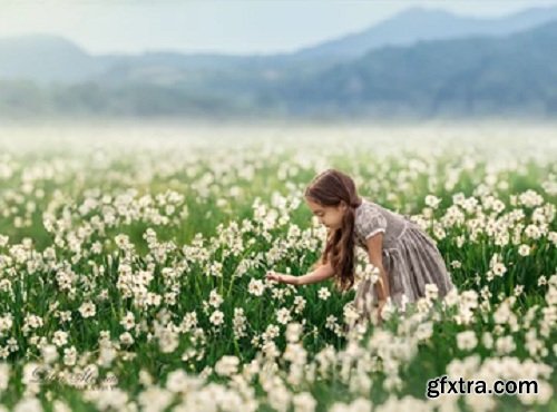 Lilia Alvarado - Field of Daffodils Digital Background