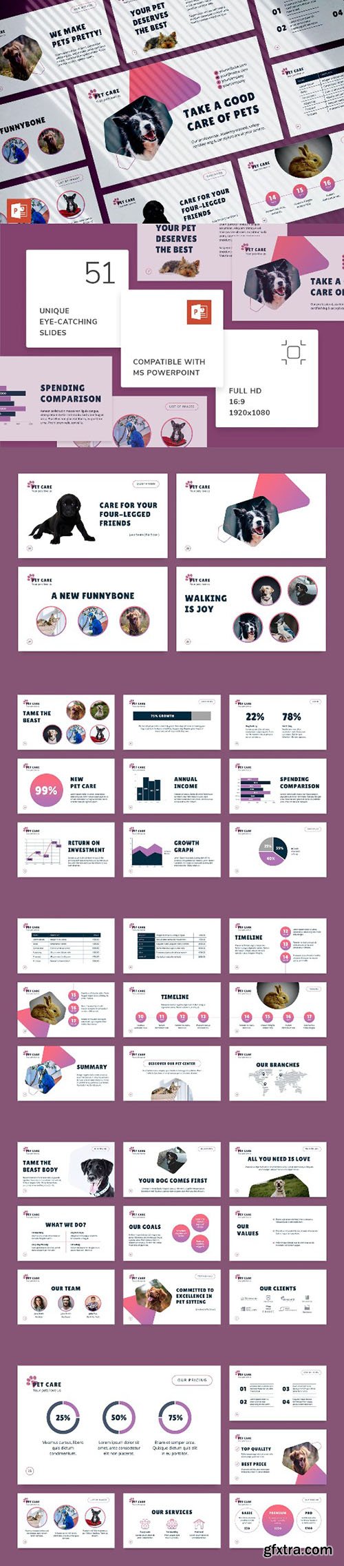 Pet Care PowerPoint Presentation Template