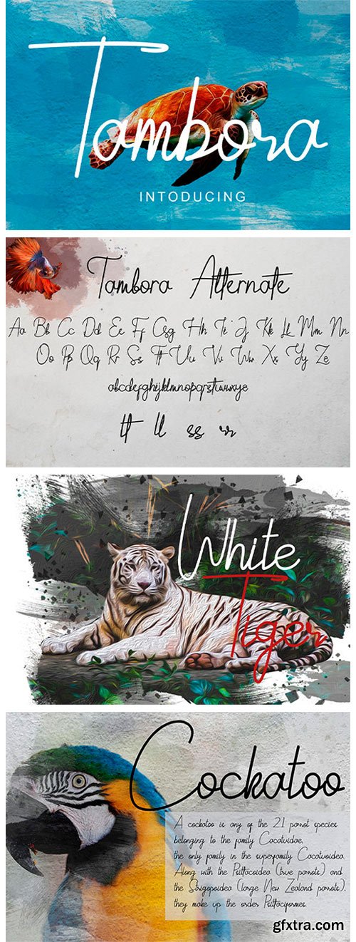 Tambora Font Tambora Font