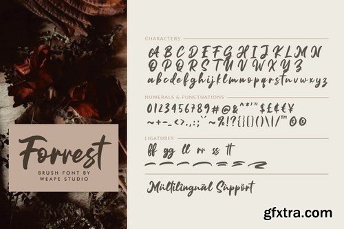Forrest - Brush Font