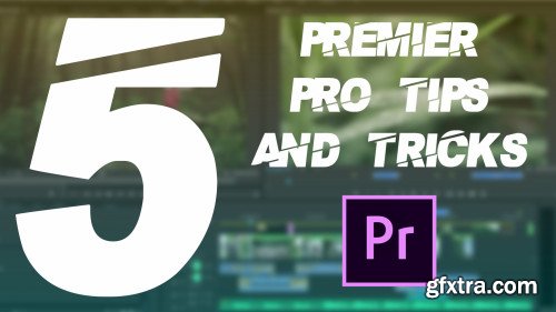 Adobe Premier Pro Additional Basics