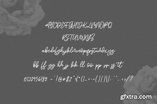 Willys Script Serif Font