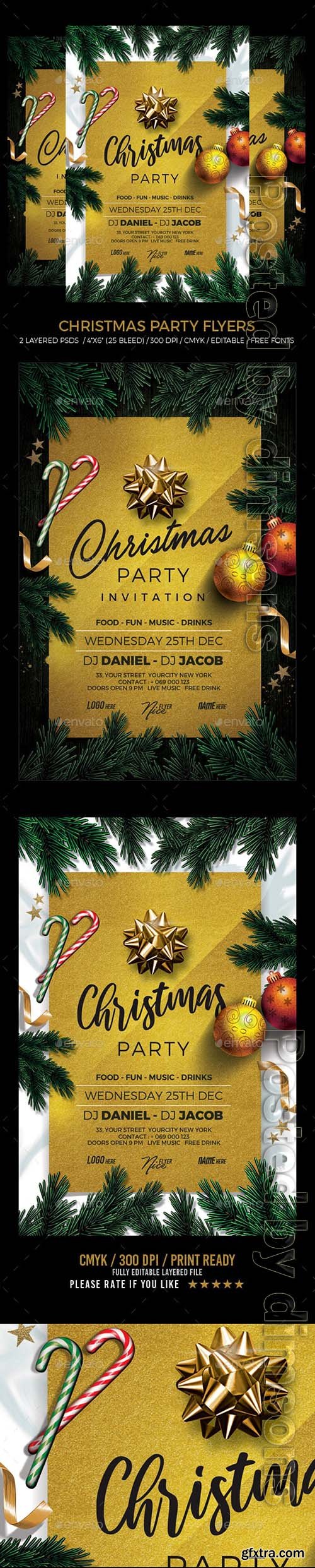 Christmas Party 25091776