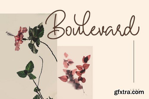 CM - Hallywood - Handwritten Script Font 4341099 CM - Hallywood - Handwritten Script Font 4341099