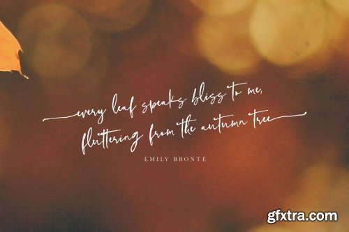 CreativeMarket - Wonderful Time Script Font 4269460