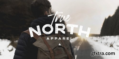 Boston Skyline Complete Family