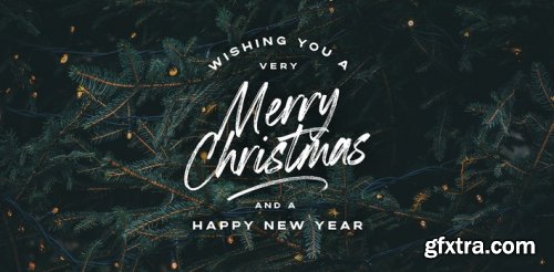 Boston Skyline Complete Family