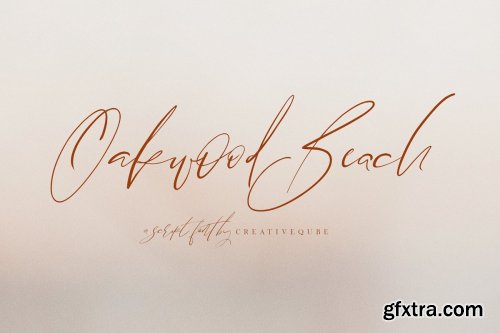 NEW Font Bundle by Creativeqube