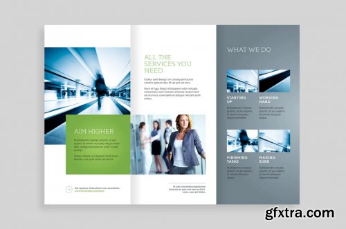 Williams – Trifold Brochure