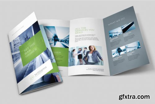 Williams – Trifold Brochure