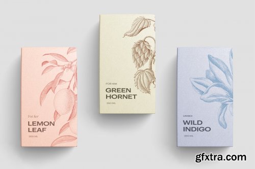 CreativeMarket - Box Mockup Vol.3 3800053