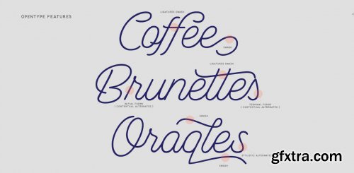 Bulgis Complete Family