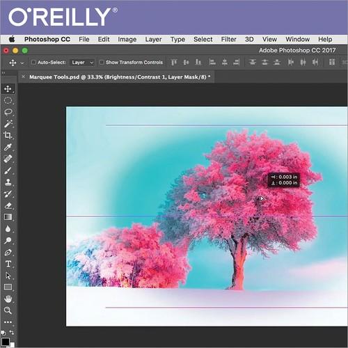 Oreilly - Learn to Use Photoshop CC 2017 ...