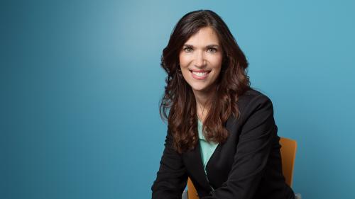 Lynda - Create a Go-To-Market Plan ...