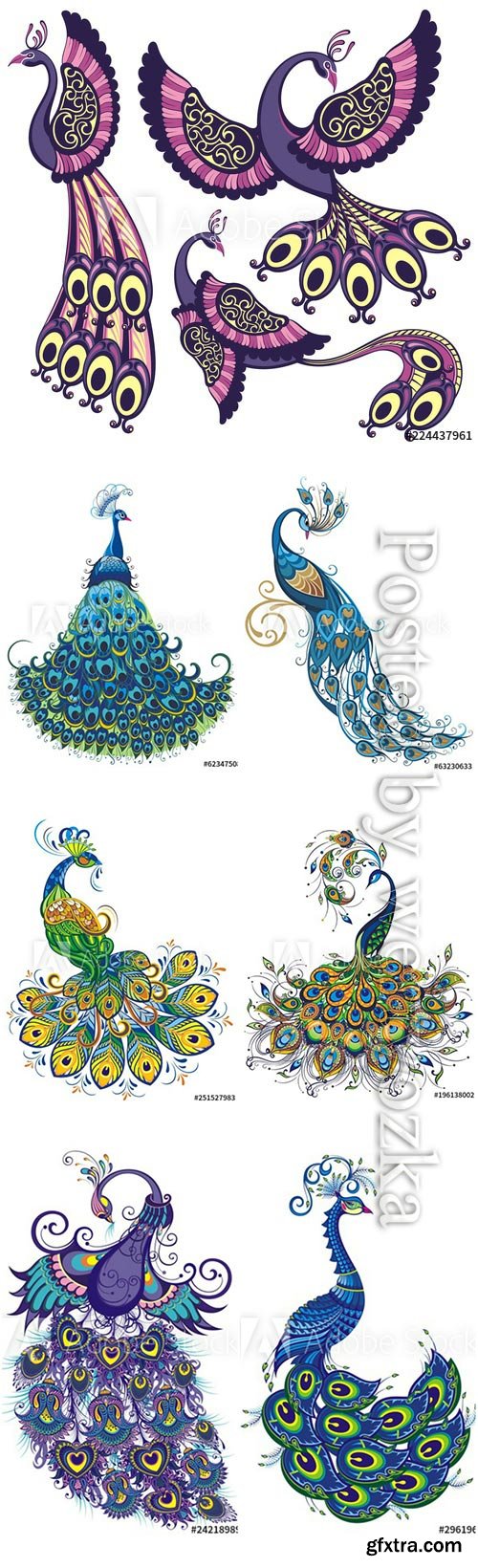 Peacock fantasy vector birds isolated on a white background Peacock fantasy vector birds isolated on a white background