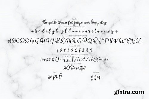 Beligo Cary Curly Script Font