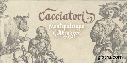 Violant Font Family Violant Font Family