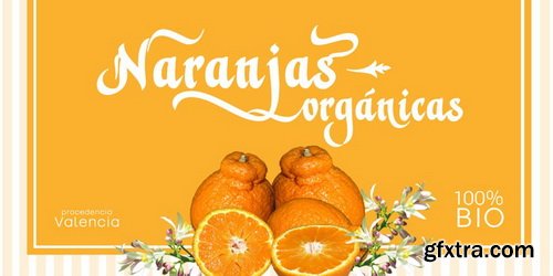 Violant Font Family Violant Font Family