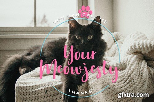 CM - Aloha MiawScript Font 4405496