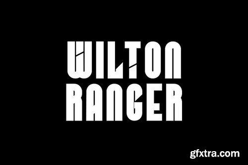 CM - NOMAD - Unique Display Typeface 4405392 CM - NOMAD - Unique Display Typeface 4405392