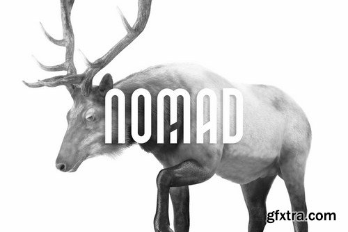 CM - NOMAD - Unique Display Typeface 4405392 CM - NOMAD - Unique Display Typeface 4405392
