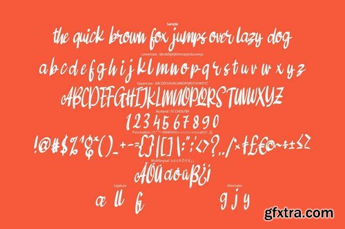 Amenty Modern Script