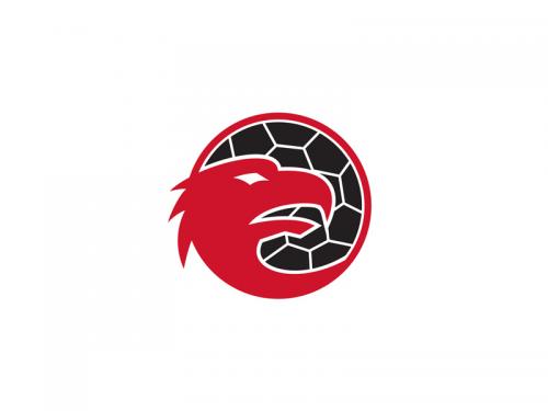European Eagle Handball Mascot - european-eagle-handball-mascot