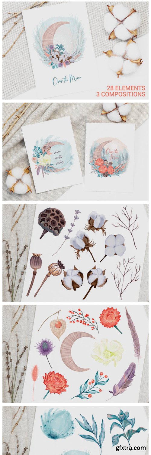 Winter Violet Collection 2129877 Winter Violet Collection 2129877