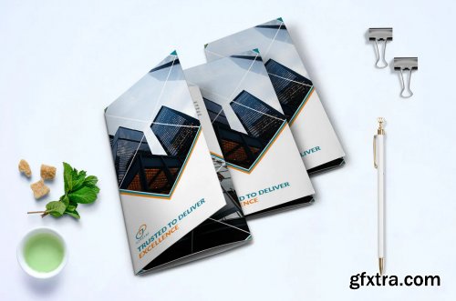 Trifold Business Brochure